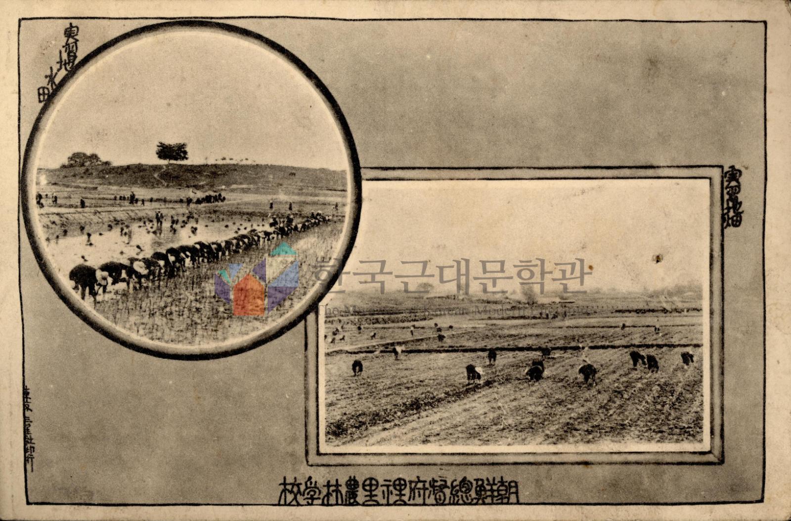 조선총독부 이리농림학교 실습현장 이미지
