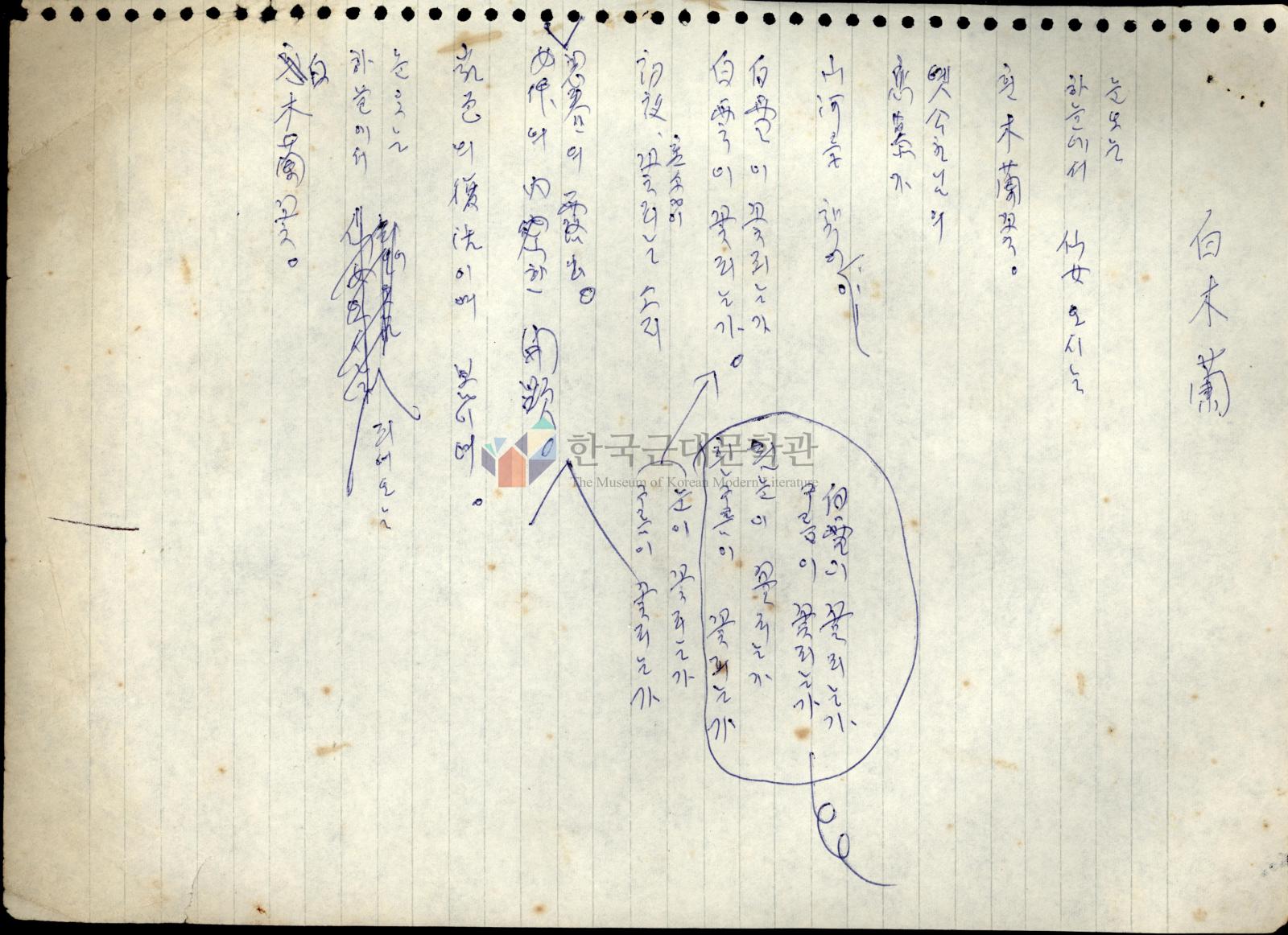 白木蘭 초고 이미지