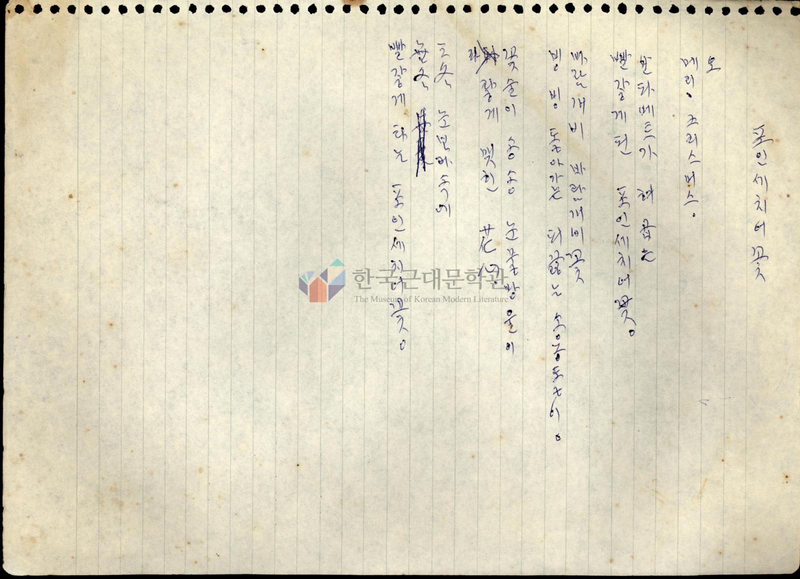 포인세치어꽃 이미지