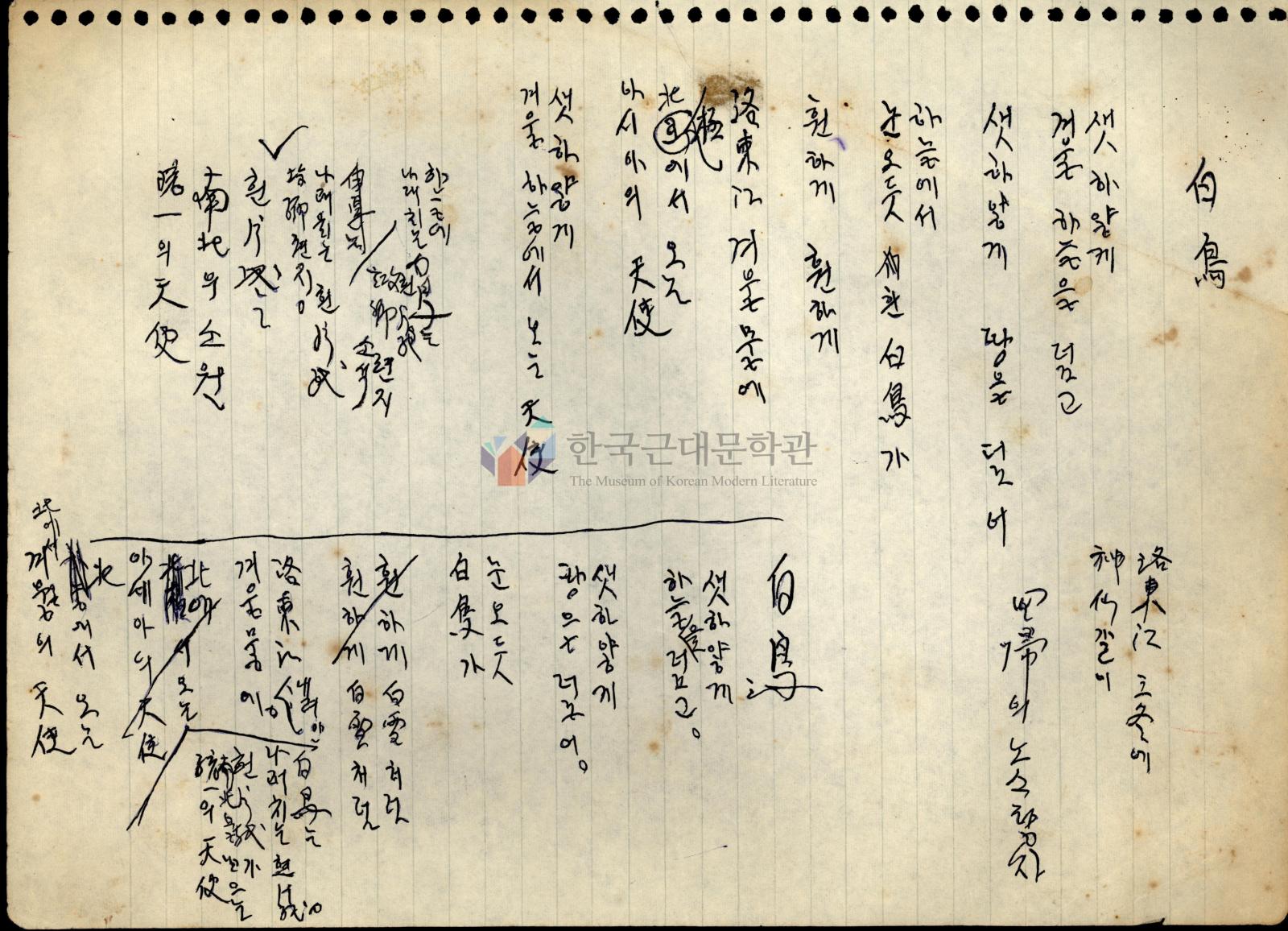 白鳥 초고 이미지